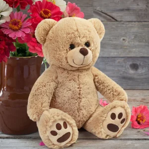 Brown Teddy Bear Plush